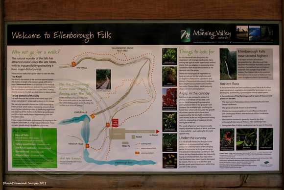 Interpretive Signboard - Ellenborough Falls - Elands, NSW