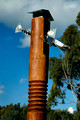 The Totem Pole 13.8.2006 (7)ed