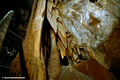 Orient Cave-17.4.2007 (2)ed