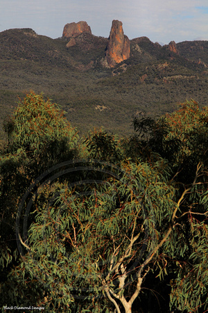 Crater Bluff, Belougery Spire, The Bread Knife - Warrumbungle National Park, NSW