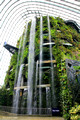 Cloud Forest Dome, Gardens By The Bay, Singapore
