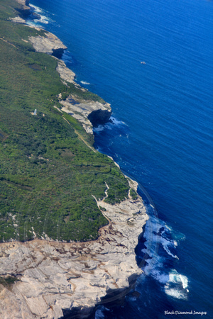 Cape Banks Aquatic Reserve, La Perouse, Sydney, NSW