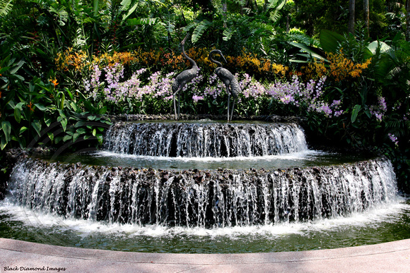 Fountain National Orchid Garden - Singapore Botanic Gardens