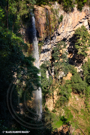 Rawson's Falls Boorganna Nature Reserve, Comboyne Plateau,NSW