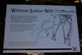 Whitegum Lookout Walk - Warrumbungle National Park, NSW