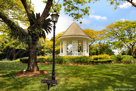 The Bandstand - Upper Ring Road, Singapore Botanic Gardens