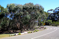 Flinders Chase National Park Visitors Centre - Kangaroo Island, South Australia