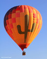 Sonoran Desert From Hot Air Balloon, Phoenix, Arizona