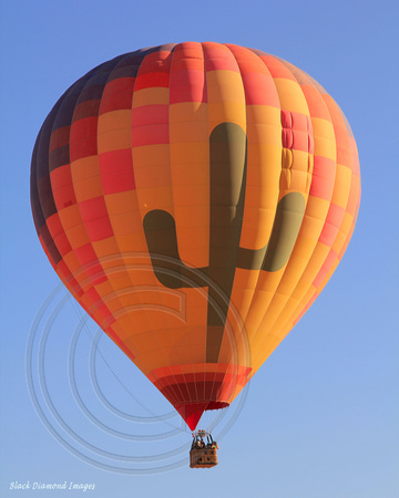 Sonoran Desert From Hot Air Balloon, Phoenix, Arizona