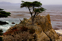 Monterey-Pebble Beach, California