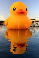Dutch artist Florentijn Hofman’s amazing Rubber Duck - Darling Harbour, Sydney, Australia - 6th Jan 2013
