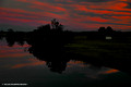 Myall River Sunset 10.8.2007(41)