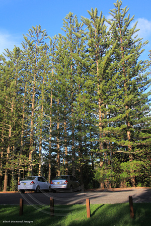 Carpark, Captain Cook Lookout, Norfolk National Park, Norfolk Island