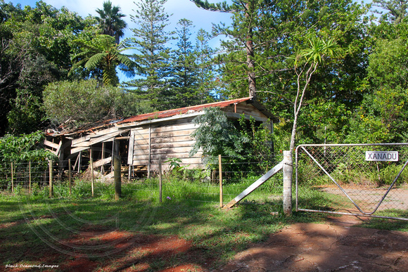 Xanadu near entrance to Captain Cook Lookout, Norfolk National Park, Norfolk Island