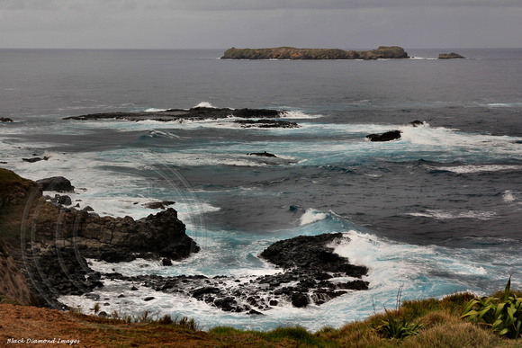 Nepean Island, Point Ross, Norfolk Island
