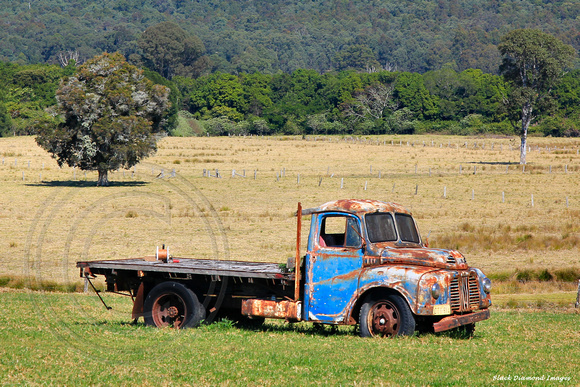 Old Truck in Paddock, Abbotts Rd, Dyers Crossing, Near Nabiac, NSW