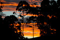 Figtree Sunset - May 18th 2007
