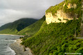 Beach Landscape and Temperate Rainforest Greymouth to Punakaiki, West Coast South Island, New Zealand