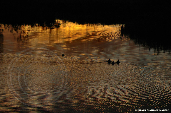 Myall River Reflections-25th July 2007