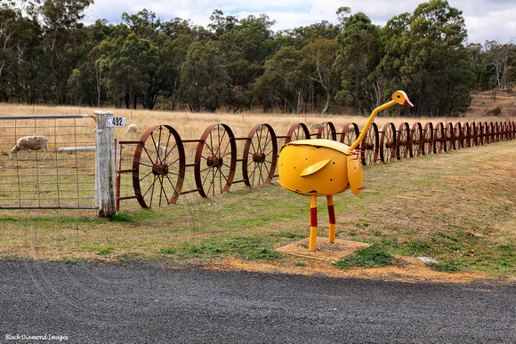 Roadside Letter Box Sculpture on Road to Siding Springs