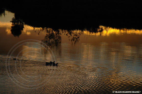 Myall River Reflections-25th July 2007