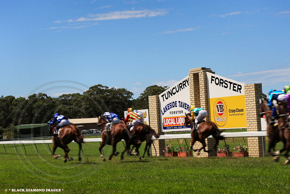 Race 1 Winner 'Feng' heads over the line -Tuncurry Forster Jockey Club Inaugural Races 14.3.2009