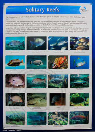 Solitary Island Marine Park Reefs, Interpretive Sign, Dolphin Pool Coffs Harbour, NSW