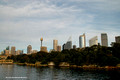 Sydney City over the Botanic Gardens