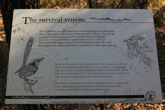 The Survival System - Warrumbungle National Park, NSW