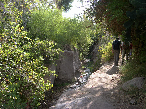 San Pedro de Atacama, Desert Altiplano (94)