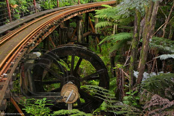 Driving Creek Railway and Pottery, Coromandel, Coromandel Peninsula, North Island, NZ