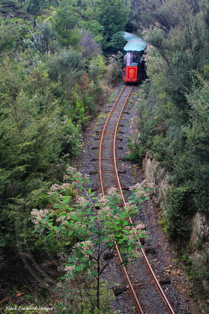 Driving Creek Railway and Pottery, Coromandel, Coromandel Peninsula, North Island, NZ