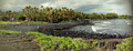 Punalu'u Black Sand Beach Park, Naalehu, Big Island, Hawaii