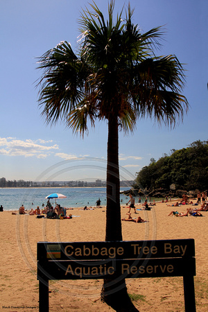 Manly Scenic Walkway, Marine Parade, Cabbage Tree Bay, Manly