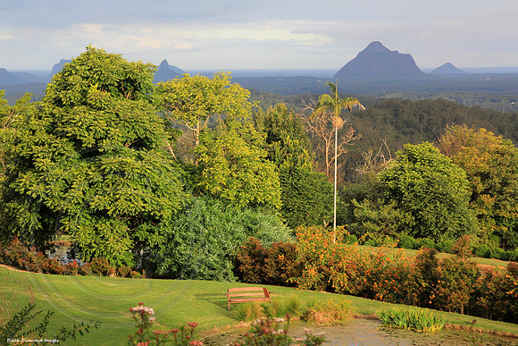 View to the Glasshouse Mountains from Maleny Botanic Gardens