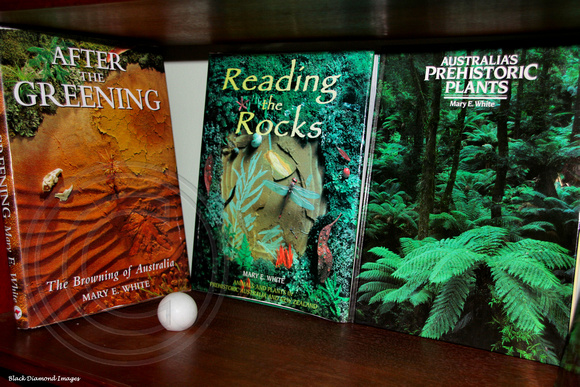 After The Greening, The Browning of Australia, Reading The Rocks, Australia's Prehistoric Plants by Mary E White