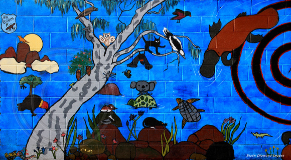 Mural Bobin Primary School 10th June 2014