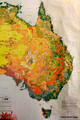 Australian Rainforest 2000 (After just 220 years of European Settlement)