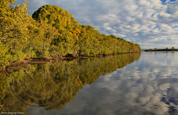 Reflections on the Manning River - Ferry Road, Oxley Island