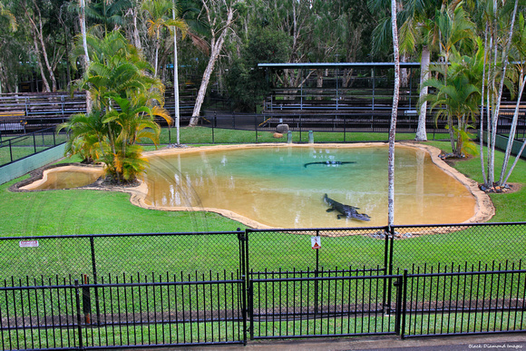 One of the Old Crocoseum Ponds at Australia Zoo, Sunshine Coast, Qld