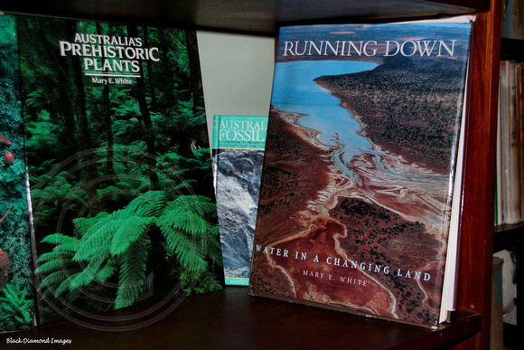 Australia's Prehistoric Plants, Australian Fossils, Running Down,Water in a Changing Land by Mary E White