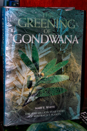 Mary E White's Book - The Greening of Gondwana