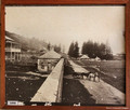 1890 Photo of the Road Leading to Quality Row, Kingston, Bounty Folk Museum, Burnt Pine, Norfolk Island