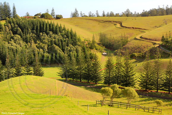 North View From Queen Elizabeth Lookout, Norfolk Island