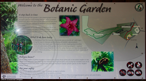 Norfolk Island Botanic Gardens