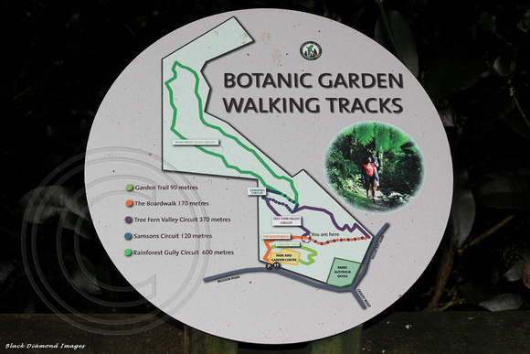 Tracks in Norfolk Island Botanic Gardens