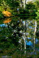 Reflections-Windyridge Mt Wilson April 16th 2007