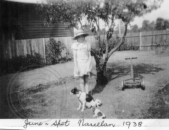 June and Spot 1938 Narellan(1)