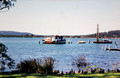 45' Tug US Army WT 85 Protrude Photos by Larry Elliott Owner, in Blackwall Bay, Woy Woy