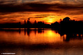 Wallis Lake Bridge & Sunset - Forster, NSW